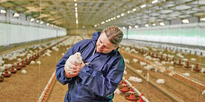 660px-1.-Screenshot-2024-02-14-at-9.00.28 am research